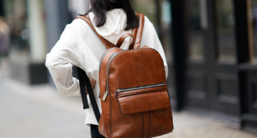 backpacks handbags